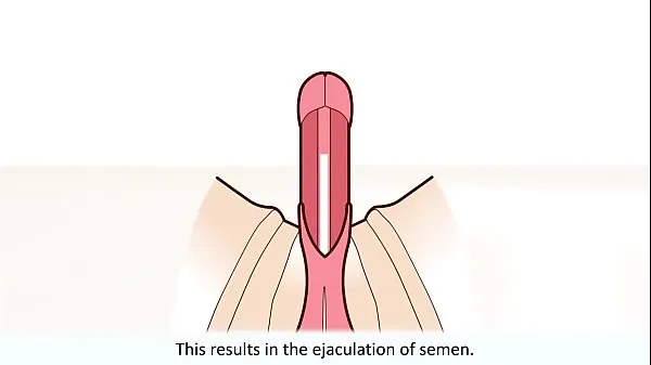 Bedste The male orgasm explained nye film